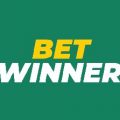 BetWinner India
