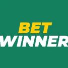 Cricket Betting Sites