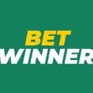 BetWinner India